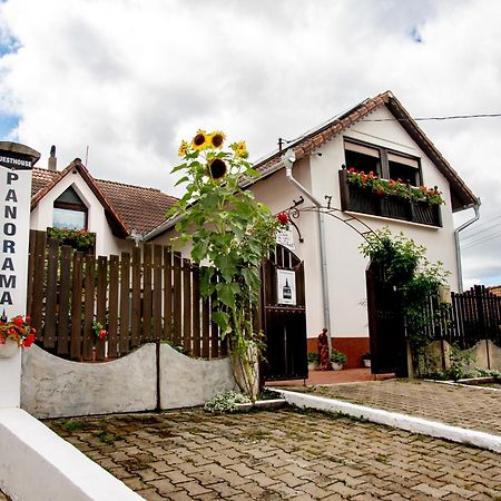 Panorama Guesthouse Sighişoara Exterior foto